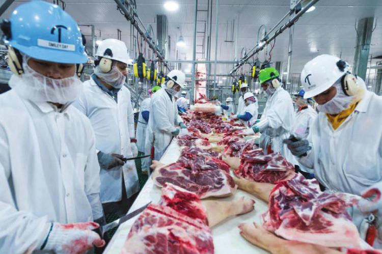 PRESTON KERES | U.S. Department of Agriculture MEAT PROCESSING resumes at the plant shortly after employee tests positive for COVID-19.