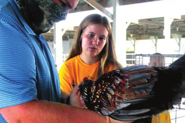 CHICKEN EXPERT Jake Montemayor talks chicken with Mariah Hutton, who wins the reserve overall title at the 2020 Ray County Fair. J.C. VENTIMIGLIA | Staff