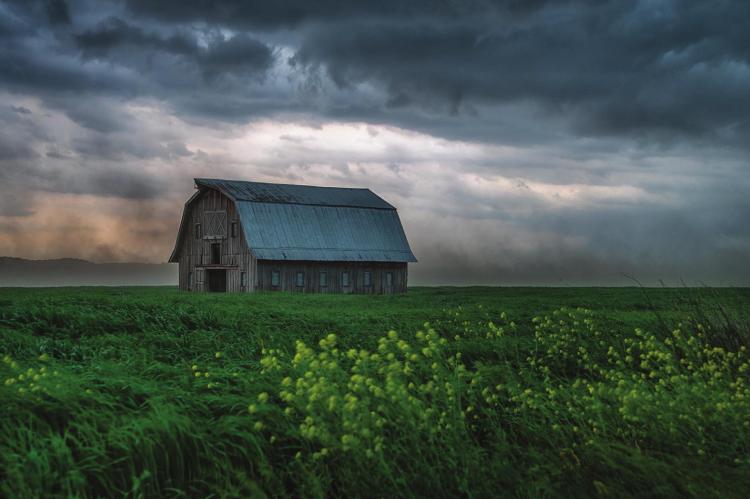 “WEATHERING THE STORM,” by Christine Peper of Jefferson City, receives state’s top photo award. CHRISTINE PEPER | Award Winner